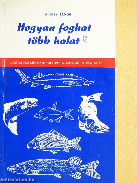 Hogyan foghat több halat?