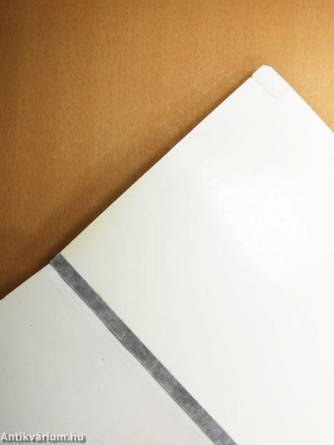 Vezetés-szervezés I.