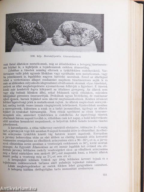 Állatorvosi belgyógyászat I.