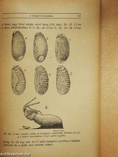 A rovarok szerepe a betegségek előidézésében és terjesztésében