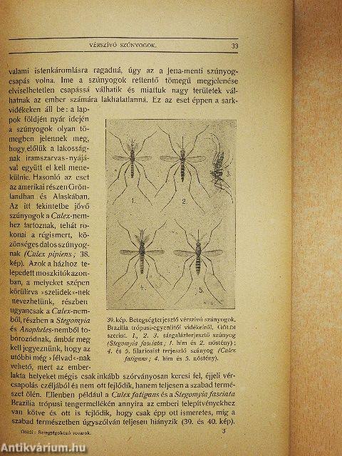 A rovarok szerepe a betegségek előidézésében és terjesztésében