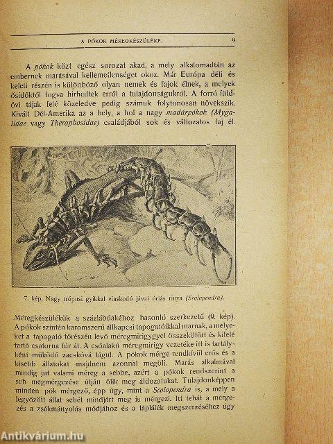 A rovarok szerepe a betegségek előidézésében és terjesztésében