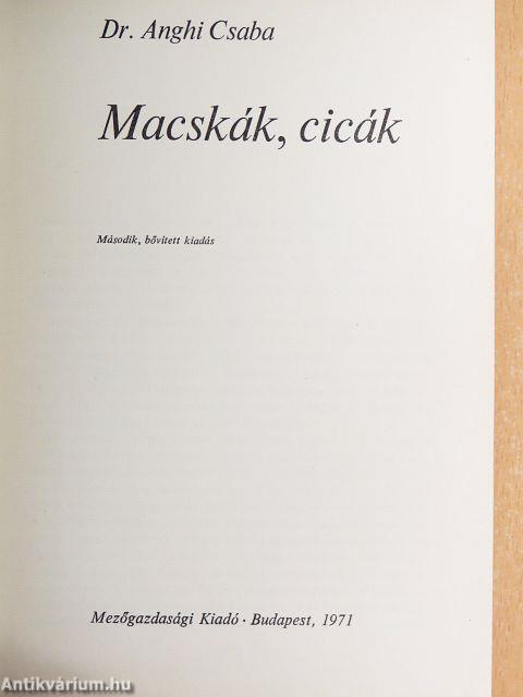 Macskák, cicák