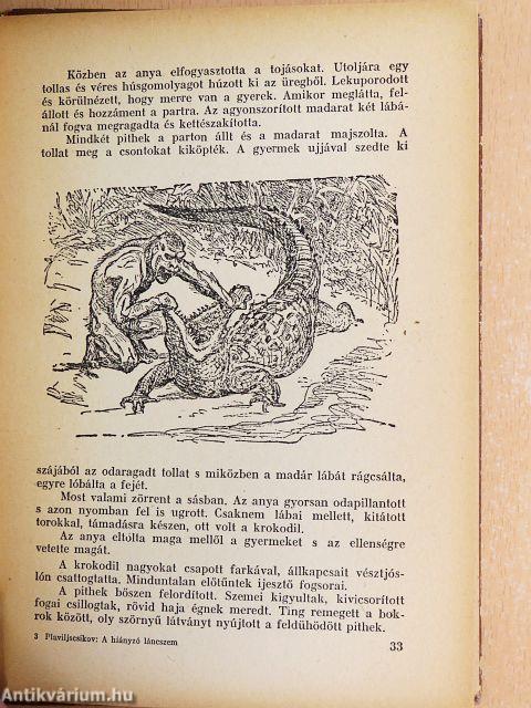 A hiányzó láncszem