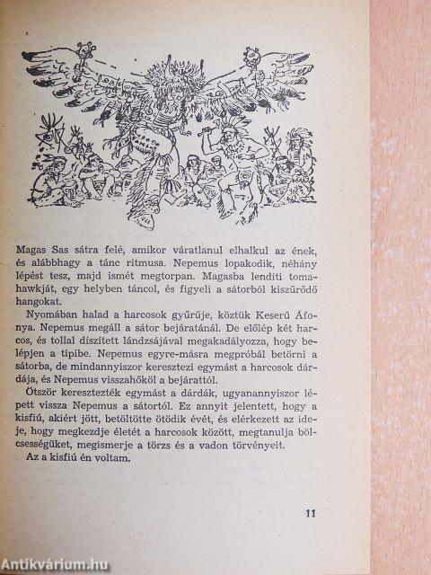 A Sós sziklák völgye