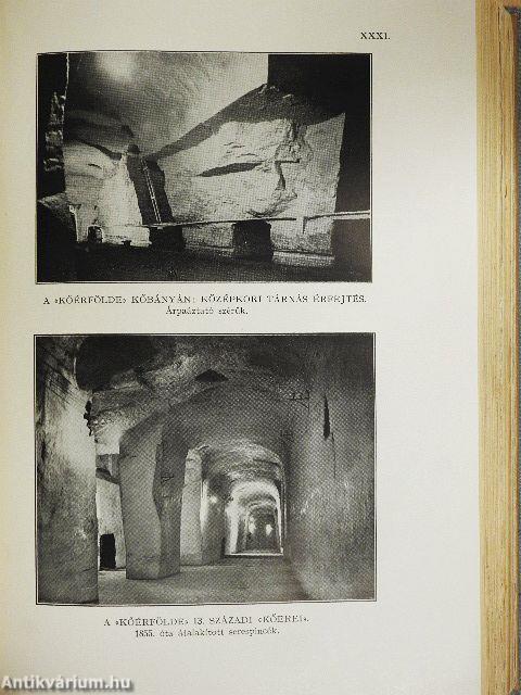 A magyar serfőzés története II.