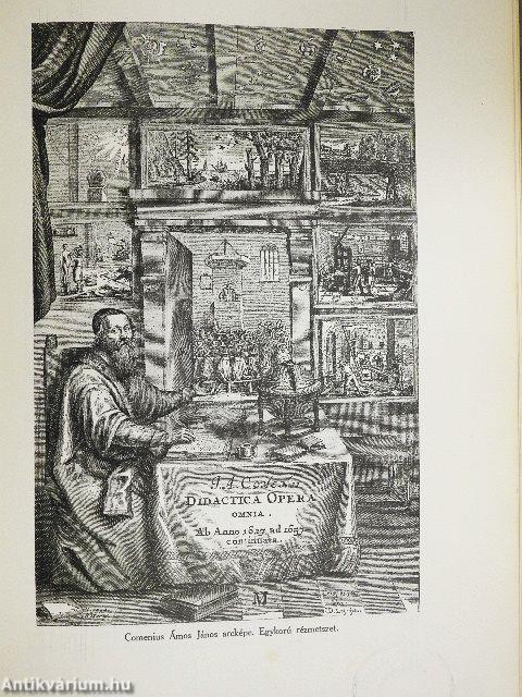 A magyar sport ezer éve I. (töredék)