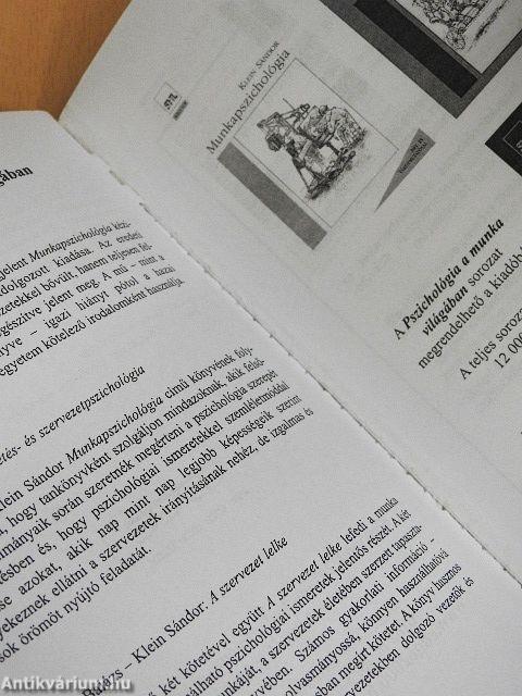 Közgazdaságtan hús-vér embereknek