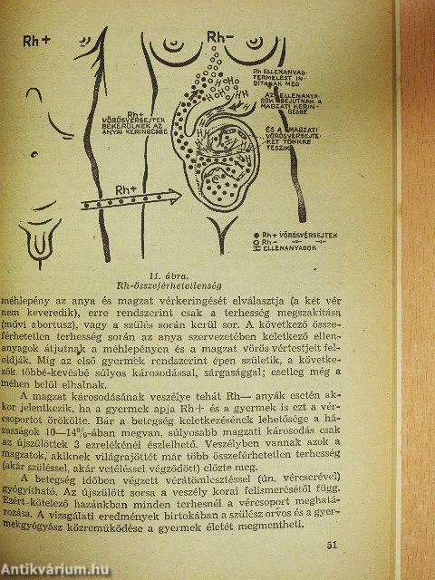 Nagylányok iskolája