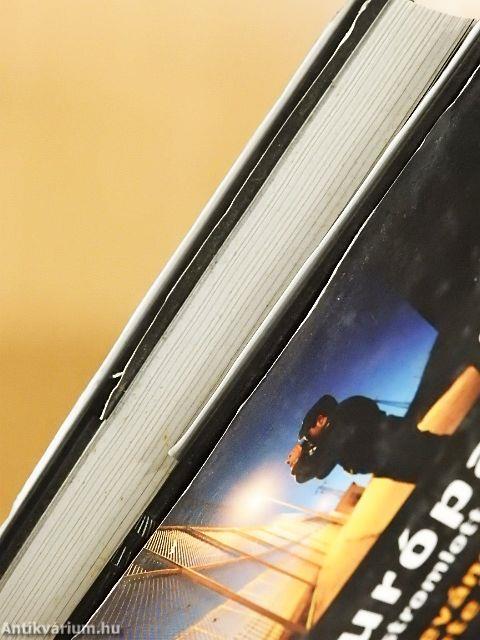 Európa: az ostromlott erőd