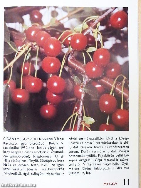 A gyümölcsfajtákról