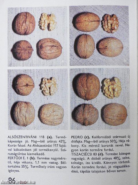 A gyümölcsfajtákról