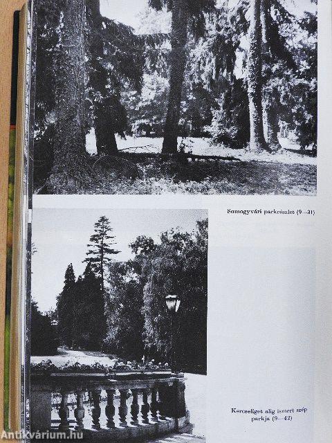 Arborétumok országszerte