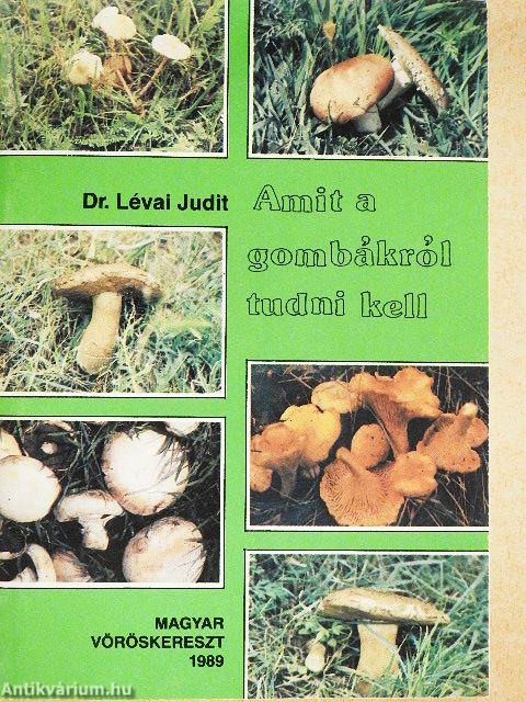 Amit a gombákról tudni kell