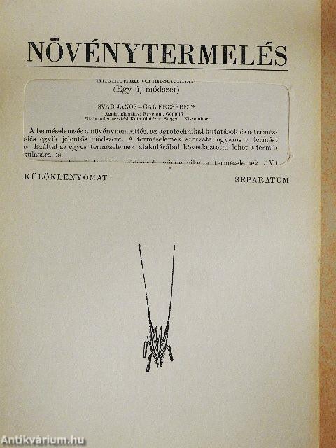 Allometriai terméselemzés