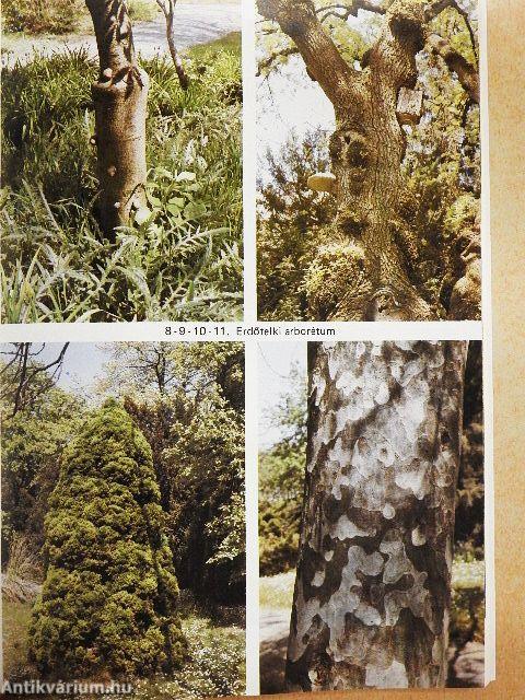 Heves megye védett természeti értékei