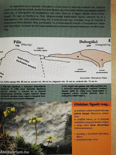 Nagy-Szénás tanösvény