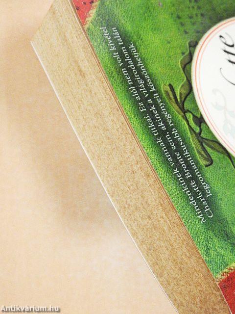 Charlotte Brontë titkos naplója