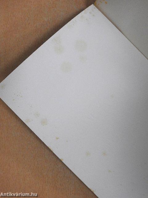 Charlotte Brontë titkos naplója