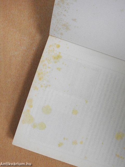 Charlotte Brontë titkos naplója