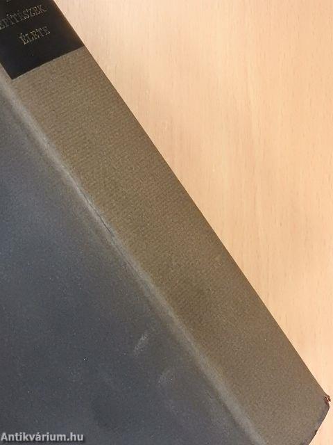 A legkiválóbb festők, szobrászok és építészek élete