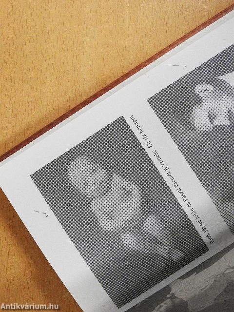 József Jolán, az édes mostoha