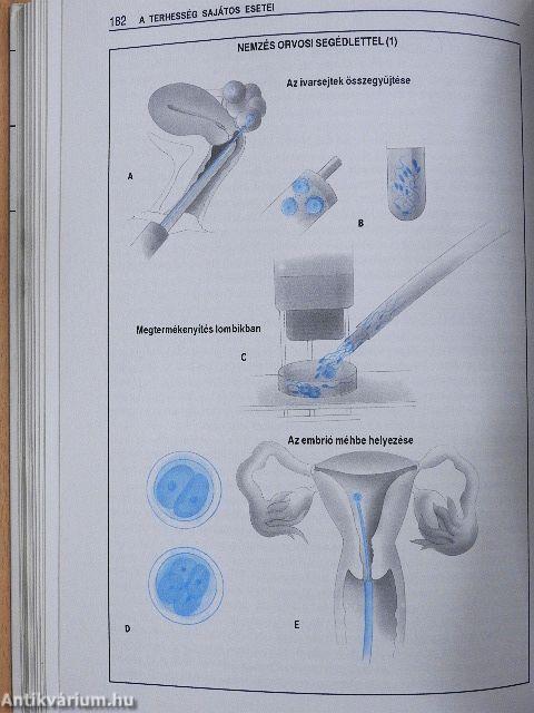 Kismamák és kisbabák egészségkönyve