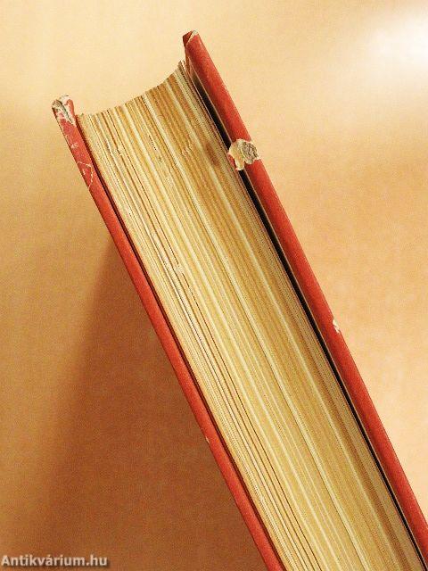 A képzőművészet iskolája