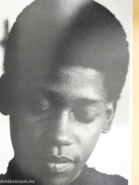 Beszélgetések Sheryl Suttonnal