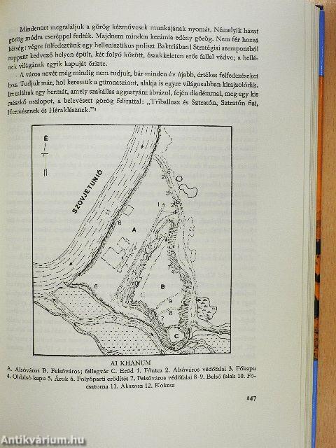 A hellenizmus kultúrája