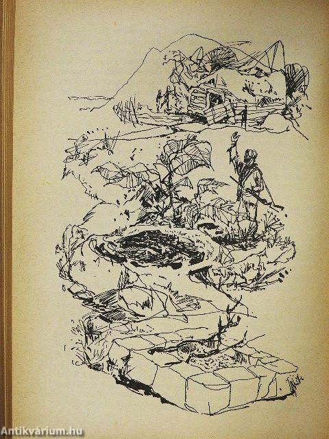 Egy bolygó robinzonjai