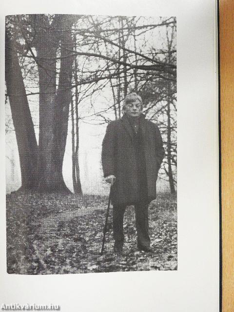 Adok nektek aranyvesszőt