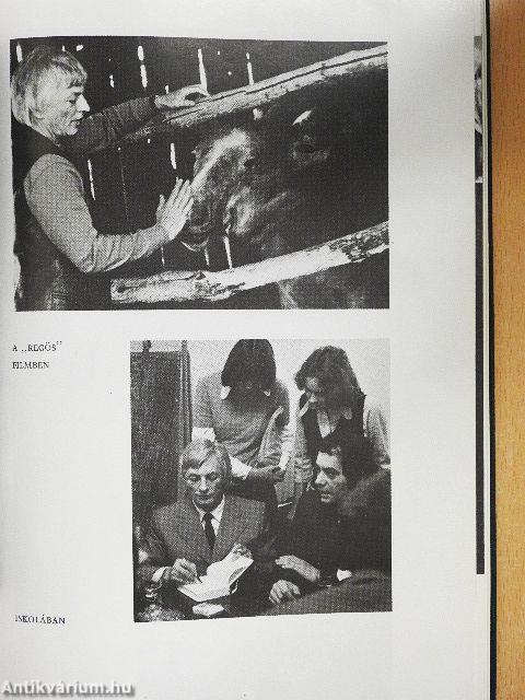 Adok nektek aranyvesszőt