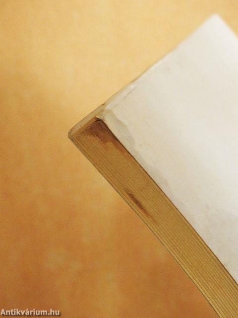 Die Jungfrau der Offenbarung