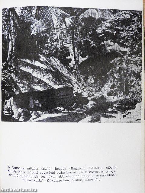 Az Orinoco vadonában