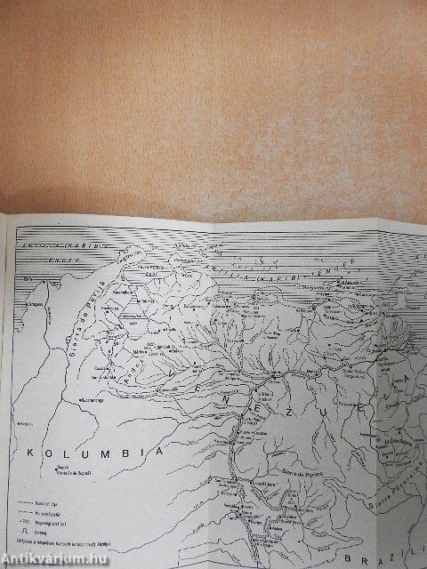 Az Orinoco vadonában