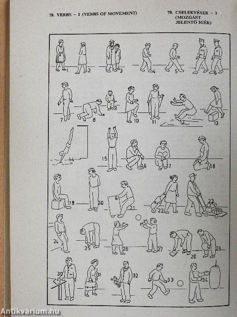 Képes brit és amerikai angol-magyar tematikus szótár