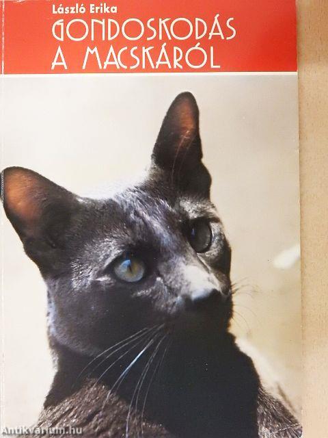 Gondoskodás a macskáról