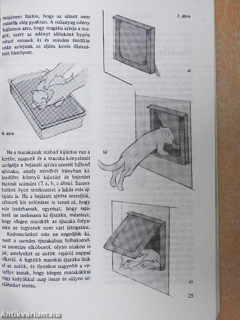 Gondoskodás a macskáról