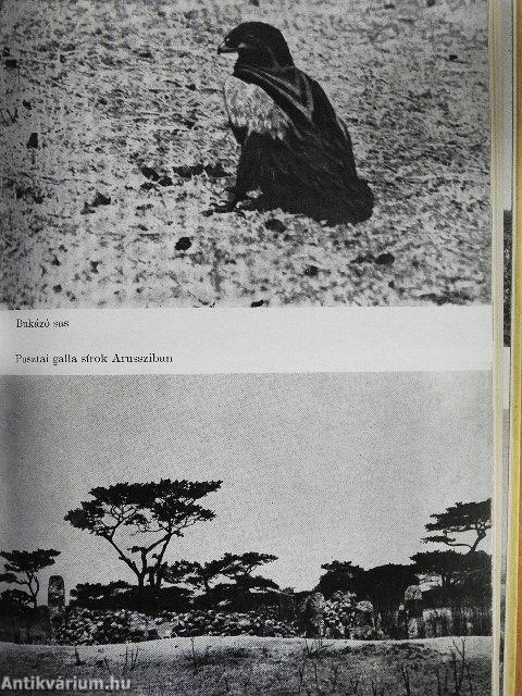 Afrikai vadászemlékek