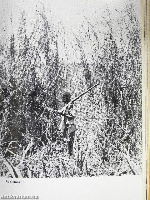 Afrikai vadászemlékek