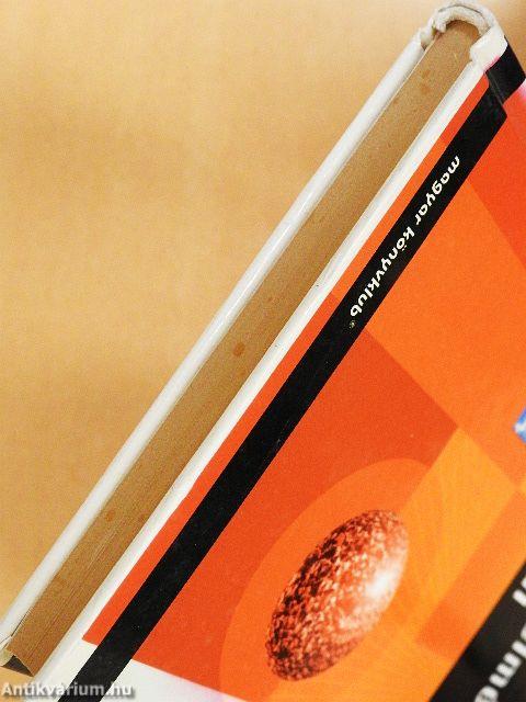 A rendszerelmélet távlatai