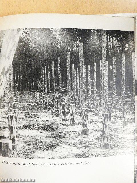 BAM - Út Szibéria kincseihez