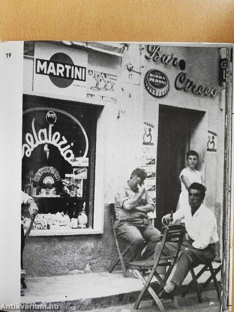 Reismann János munkássága