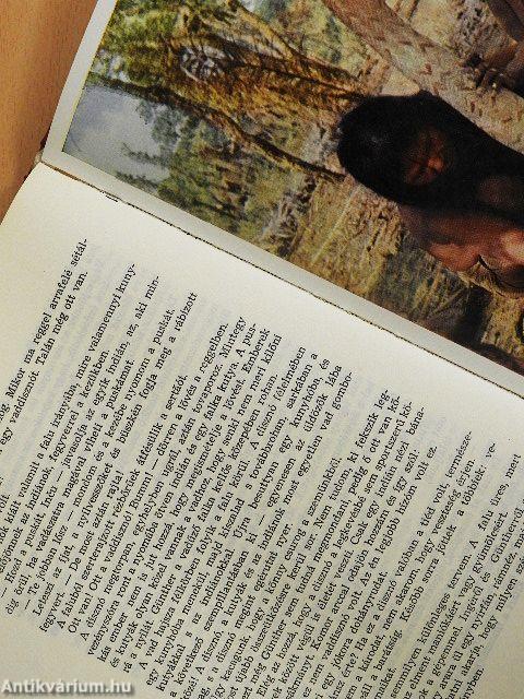 A vörös hegyek indiánjai