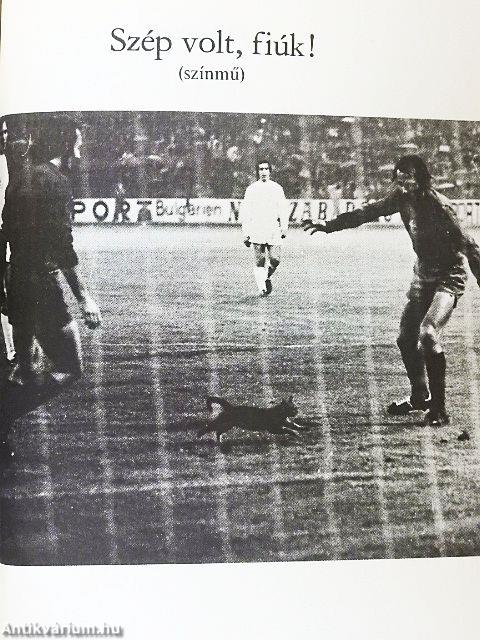 Miért beteg a magyar futball?