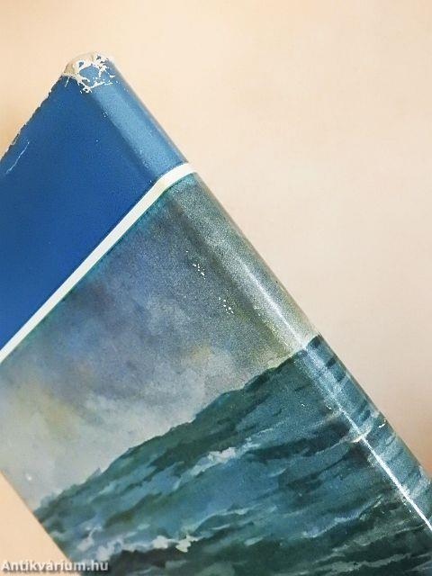 Önkéntes hajótörött