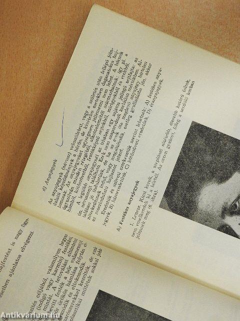 Női fodrász szakmai ismeret