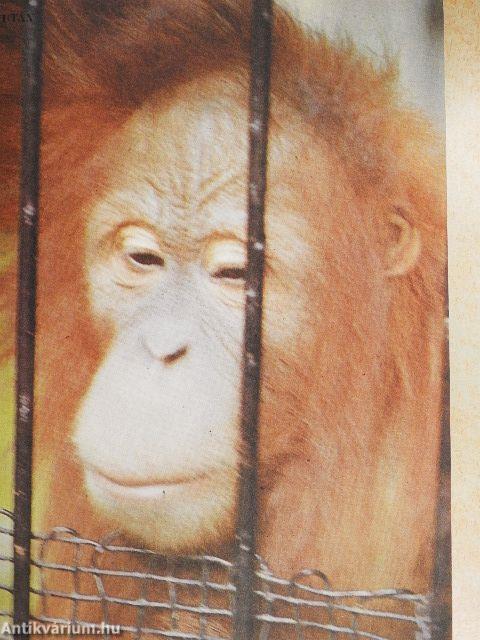 Az Állatvilág kalendáriuma 1986