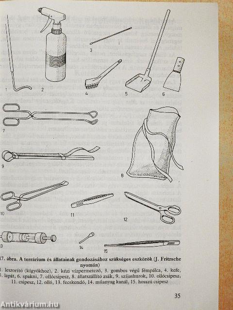 Terrárium hüllőknek, kétéltűeknek, kisemlősöknek